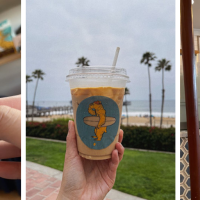 Bear Coast Coffee