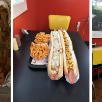 Doogie's