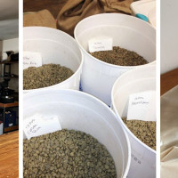 Five Rivers Coffee Roasters