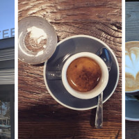Gray Squirrel Coffee Company