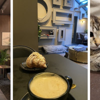 Java Whiskers Cat Cafe Marylebone