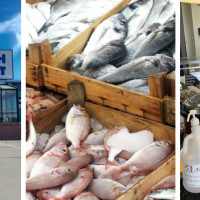 Kyler's Catch Seafood Market and Kitchen