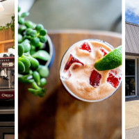 Leopard Forest Coffee Company