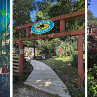 Lotus Cafe & Juice Bar At Zen Garden