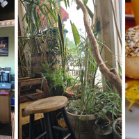 New Moon Cafe