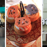 Orlando Cat Cafe