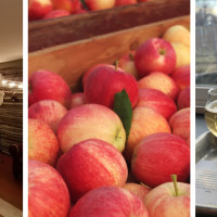 Rootwood Cider Taproom - at the Orchard