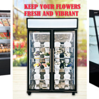 Sinco Food Equipment