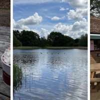 Tern Café, Frensham Little Pond