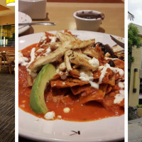 Toks Queretaro Constituyentes